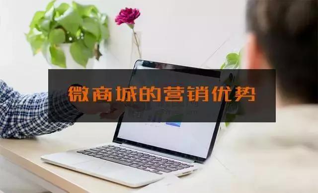 天津小程序開發(fā)，天津小程序制作，天津微商城開發(fā)，電商網(wǎng)站建設(shè)，網(wǎng)上商城系統(tǒng)，天津網(wǎng)站設(shè)計