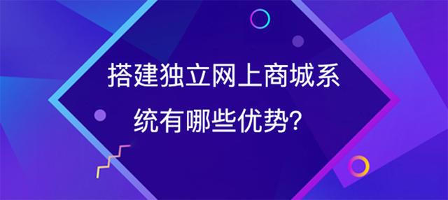 天津小程序開發(fā)，天津小程序制作，天津微商城開發(fā)，電商網(wǎng)站建設，網(wǎng)上商城系統(tǒng)，天津網(wǎng)站設計